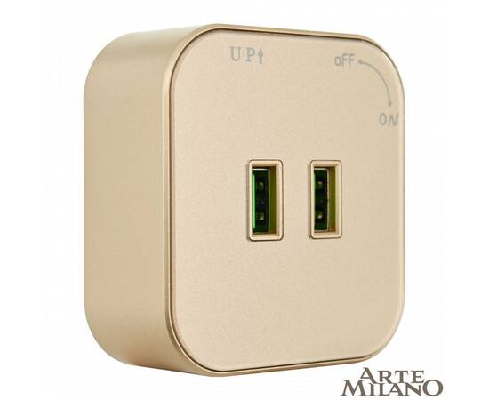 Трековая розетка Arte Milano Am-track-sockets 380022TS/USBx2 Gold, изображение 4