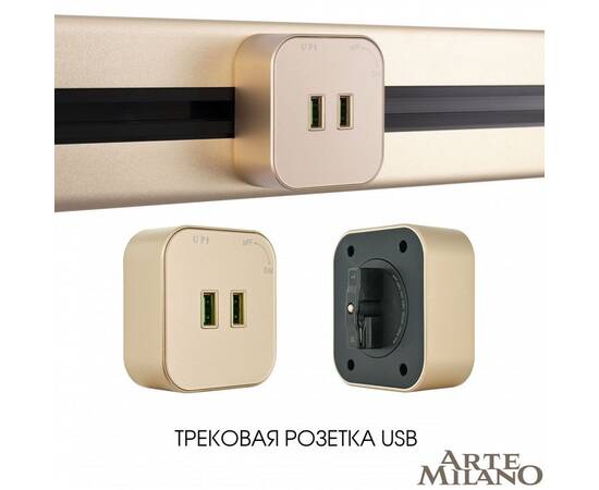 Трековая розетка Arte Milano Am-track-sockets 380022TS/USBx2 Gold, изображение 5