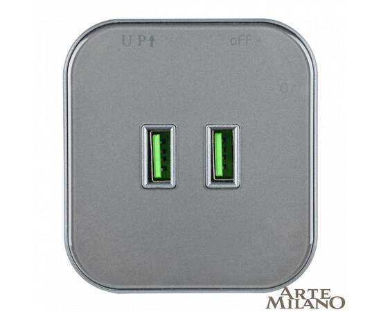 Трековая розетка Arte Milano Am-track-sockets 380022TS/USBx2 Grey, изображение 3