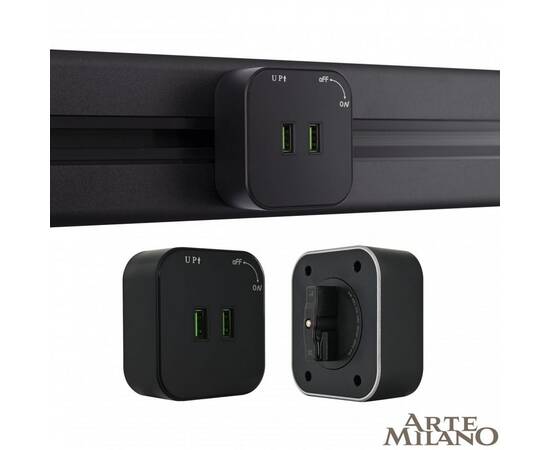 Трековая розетка Arte Milano Am-track-sockets 380022TS/USBx2 Black