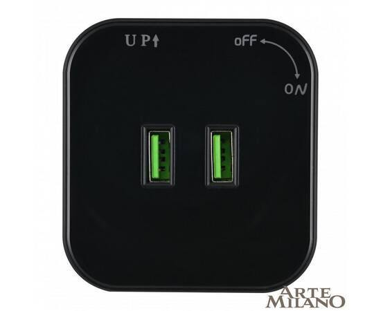 Трековая розетка Arte Milano Am-track-sockets 380022TS/USBx2 Black, изображение 3