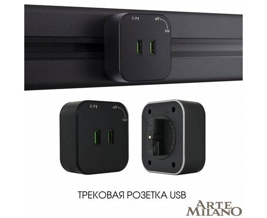 Трековая розетка Arte Milano Am-track-sockets 380022TS/USBx2 Black, изображение 5