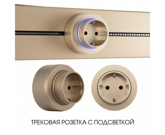 Трековая розетка Arte Milano Am-track-sockets-39 397951TS/ES Gold