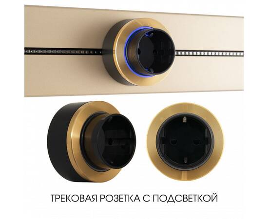 Трековая розетка Arte Milano Am-track-sockets-39 397952TS/ES Gold