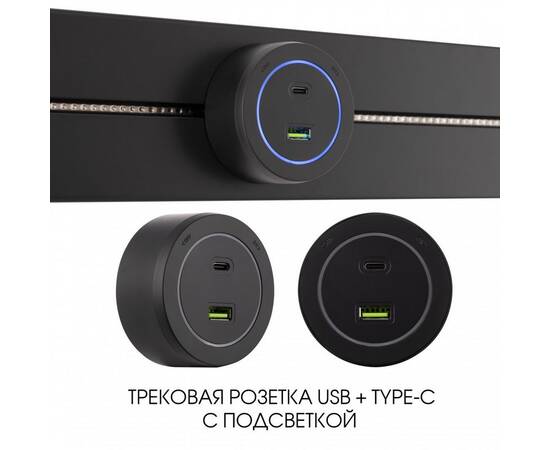 Трековая розетка Arte Milano Am-track-sockets-39 399731TS/USB-Type-C Black