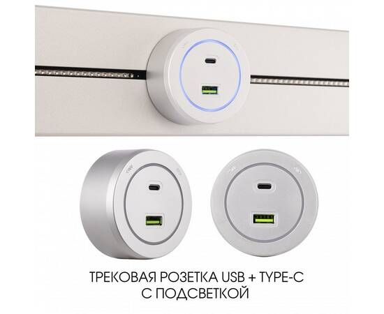 Трековая розетка Arte Milano Am-track-sockets-39 399731TS/USB-Type-C Silver