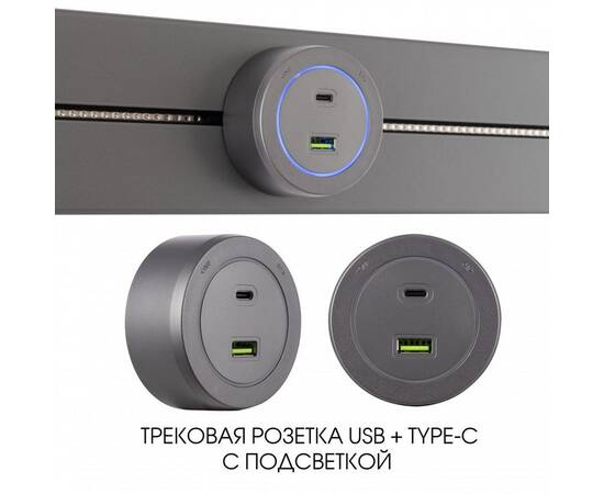 Трековая розетка Arte Milano Am-track-sockets-39 399731TS/USB-Type-C Grey