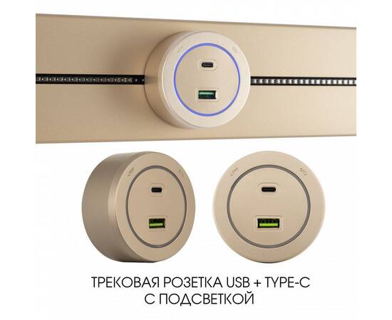 Трековая розетка Arte Milano Am-track-sockets-39 399731TS/USB-Type-C Gold