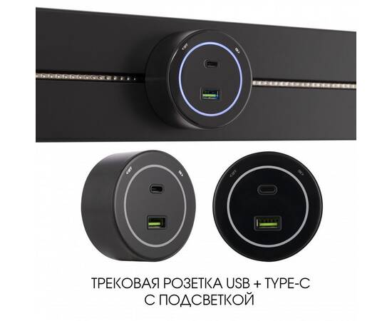 Трековая розетка Arte Milano Am-track-sockets-39 399732TS/USB-Type-C Black