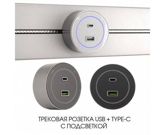 Трековая розетка Arte Milano Am-track-sockets-39 399732TS/USB-Type-C Silver