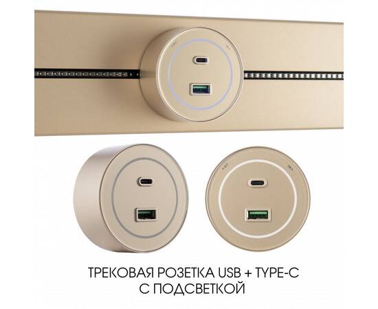 Трековая розетка Arte Milano Am-track-sockets-39 399732TS/USB-Type-C Gold