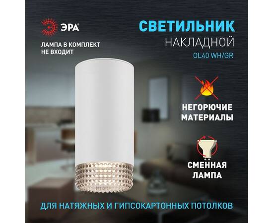Накладной светильник Эра OL40 WH/GR Б0058478, изображение 8
