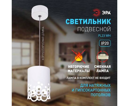 Подвесной светильник Эра PL23 WH Б0059809, изображение 9