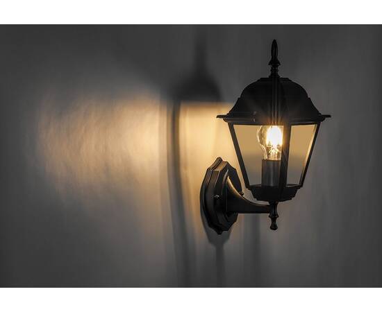 Уличный настенный светильник Feron 4201 11024, изображение 2