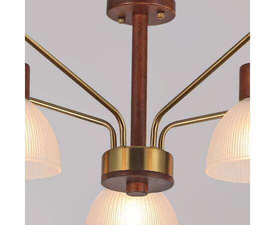 Люстра на штанге Illumico IL0286-5C-79 BR, изображение 3