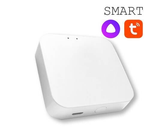 Конвертер WI-FI для трековой системы EKS Colibri Smart 0У-00002005