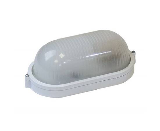 Настенно-потолочный светильник Эра НБП 04-60-001 Б0063879