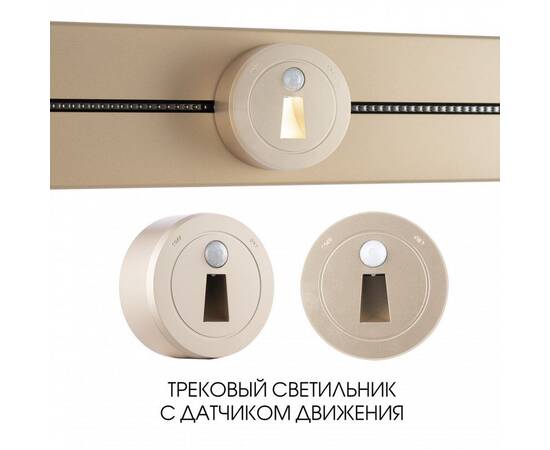 Трековая подсветка Arte Milano Am-track-sockets 397953TLS/LWS Gold