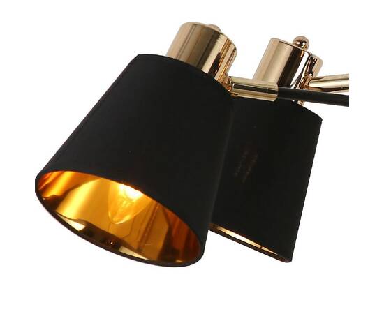 Потолочная люстра Illumico IL6116-6COU-79 BK GD Abelie, изображение 3