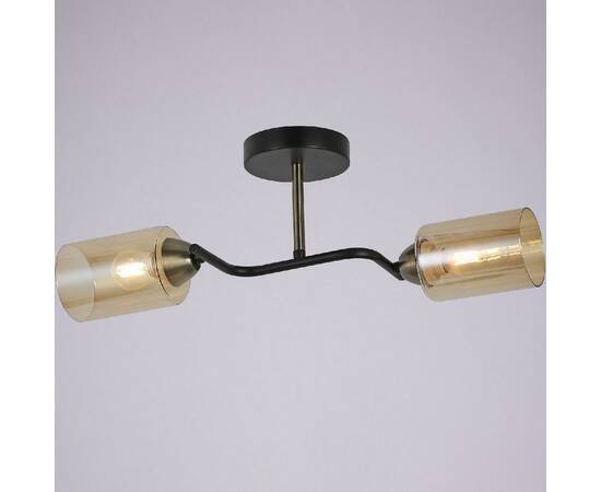 Потолочный светильник Illumico IL8148-2COU-79 BK BR Bice