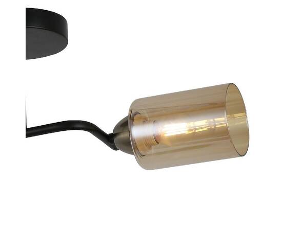 Потолочный светильник Illumico IL8148-2COU-79 BK BR Bice, изображение 2