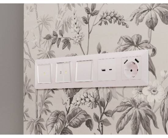 Лицевая панель для розетки 2USB тип A+C Ambrella Volt Alfa AP2110, изображение 2