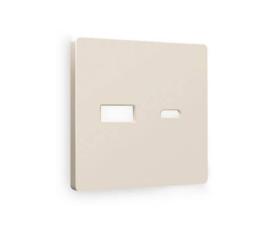 Лицевая панель для розетки 2USB A+C Ambrella Volt Alfa AP3310