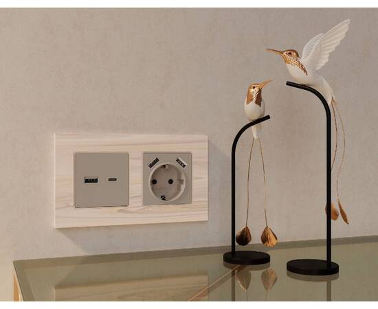 Лицевая панель для розетки с/з со шторками 2USB A+A Ambrella Volt Alfa AP3690, изображение 2