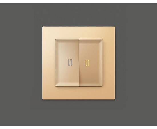 Комплект механизма 2-кл выключателя с подсветкой Ambrella Volt Alfa MA604010, изображение 2