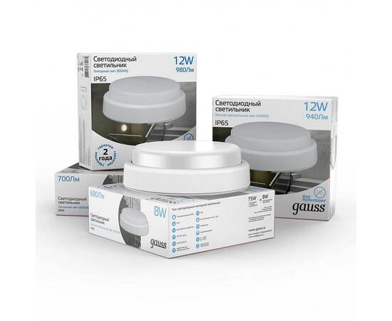 Уличный светодиодный светильник Gauss 126411212-S, изображение 2