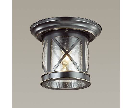 Уличный светильник Odeon Light Nature Sation 4045/1C, изображение 2