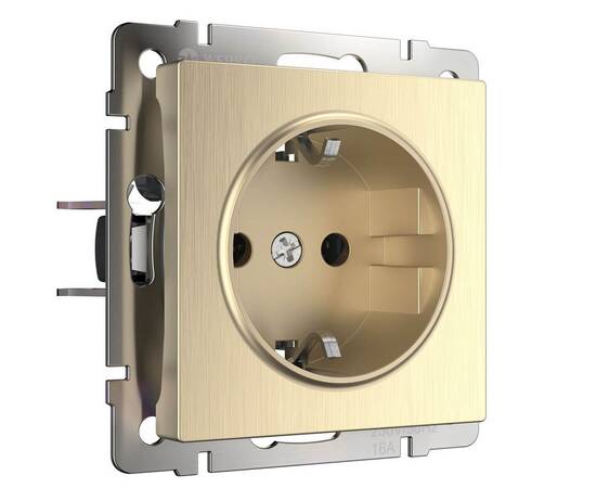 Розетка с заземлением и шторками Werkel шампань рифленый W1171110 4690389159756