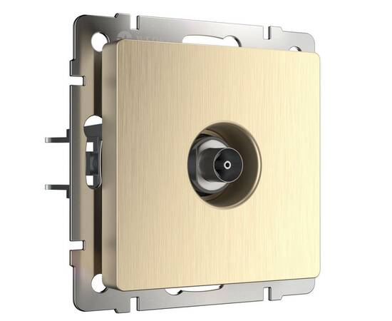 ТВ-розетка оконечная Werkel шампань рифленый W1183010 4690389160639