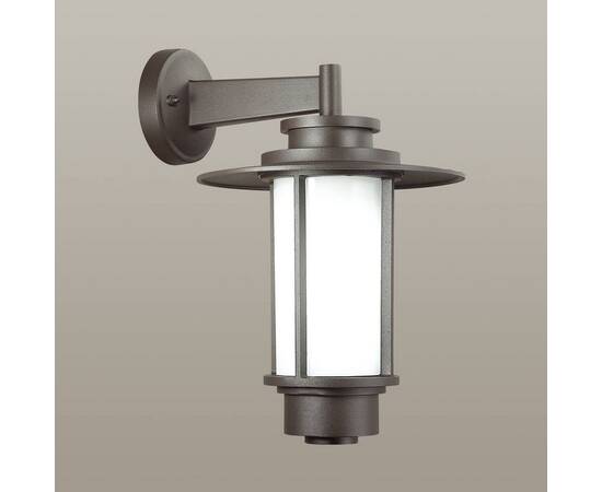 Уличный настенный светильник Odeon Light Nature Mito 4047/1W, изображение 2