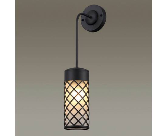 Уличный настенный светильник Odeon Light Nature Dunes 4834/1W, изображение 3