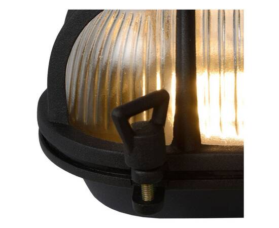 Уличный настенный светильник Lucide Dudley 11891/20/30, изображение 3