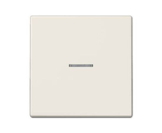 Клавиша одинарная перекидная Jung LS990KO5