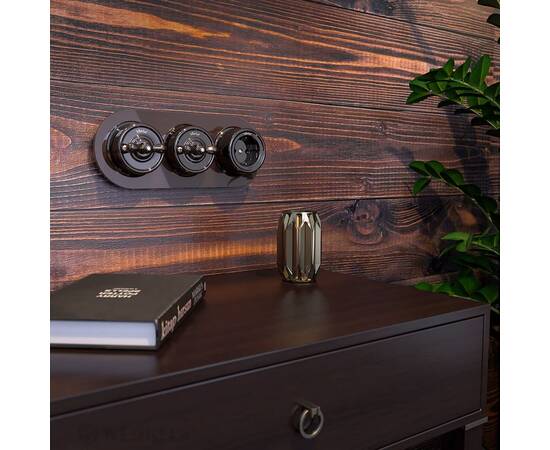 Выключатель Werkel на 4 положения двухклавишный Retro коричневый W5620014 4690389166754, изображение 3