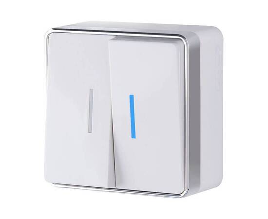 Выключатель двухклавишный с подсветкой Werkel Gallant белый W5020101 4690389164170