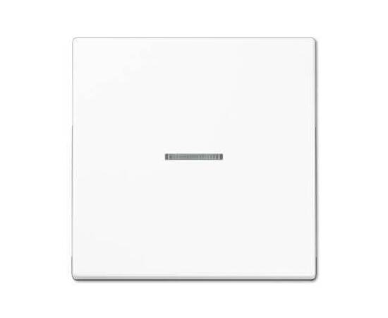 Клавиша одинарная перекидная Jung LS990KO5WW