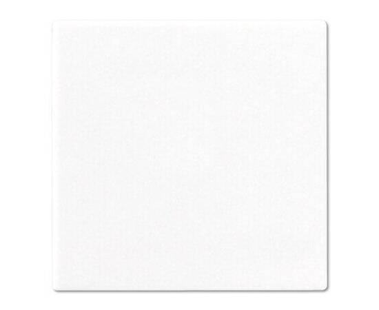 Клавиша одинарная перекидная БЕЛАЯ Jung A500