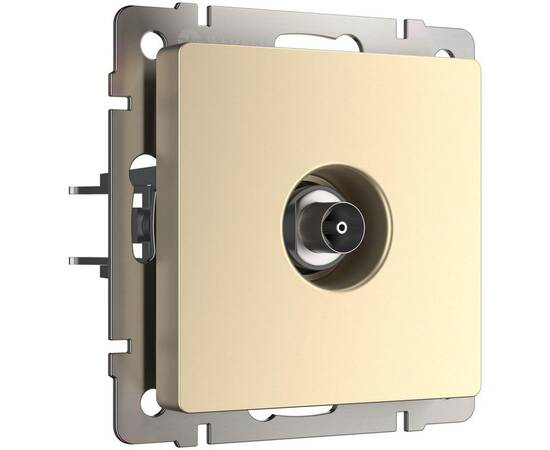 ТВ-розетка оконечная Werkel шампань W1183011 4690389157516