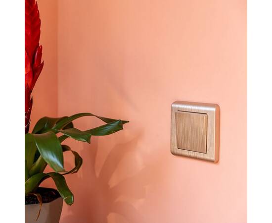 Рамка на 1 пост Werkel Stream шампань W0012111 4690389162176, изображение 3