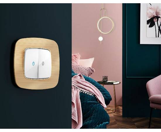 Лицевая панель для выключателя двухклавишного с подсветкой Ambrella Volt Omega OP1040, изображение 3