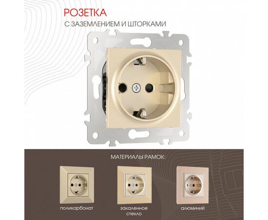 Розетка с заземлением и шторками Arte Milano 203.40-1.shampan