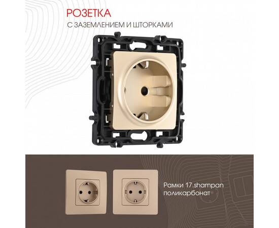 Розетка с заземлением и шторками Arte Milano 217.40-1.shampan