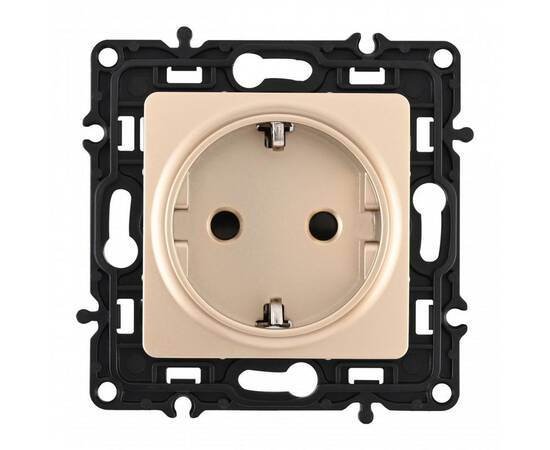 Розетка с заземлением и шторками Arte Milano 217.40-1.shampan, изображение 4