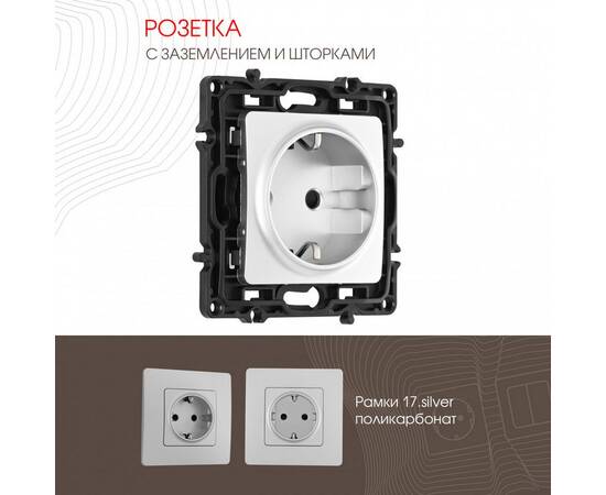 Розетка с заземлением и шторками Arte Milano 217.40-1.silver