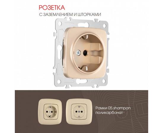 Розетка с заземлением и шторками Arte Milano 205.40-1.shampan