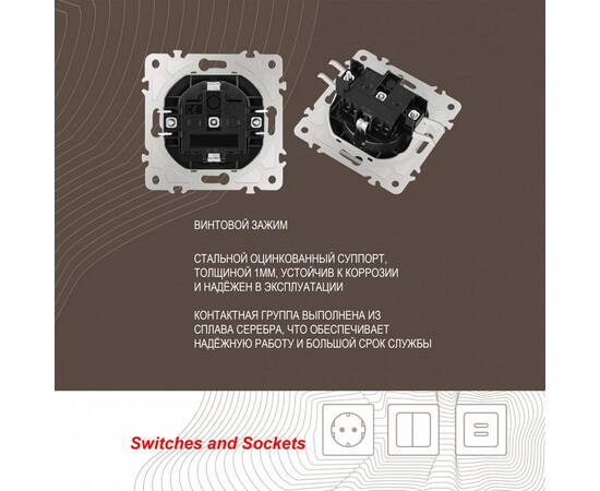 Розетка с заземлением и шторками Arte Milano 206.40-1.shampan, изображение 2